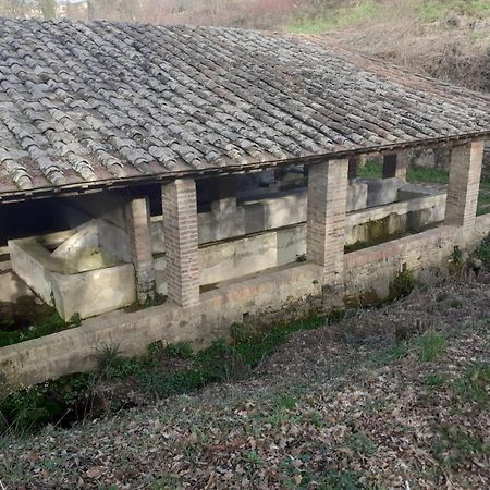 Villa Casa Di Zio Monticiano Zimmer foto